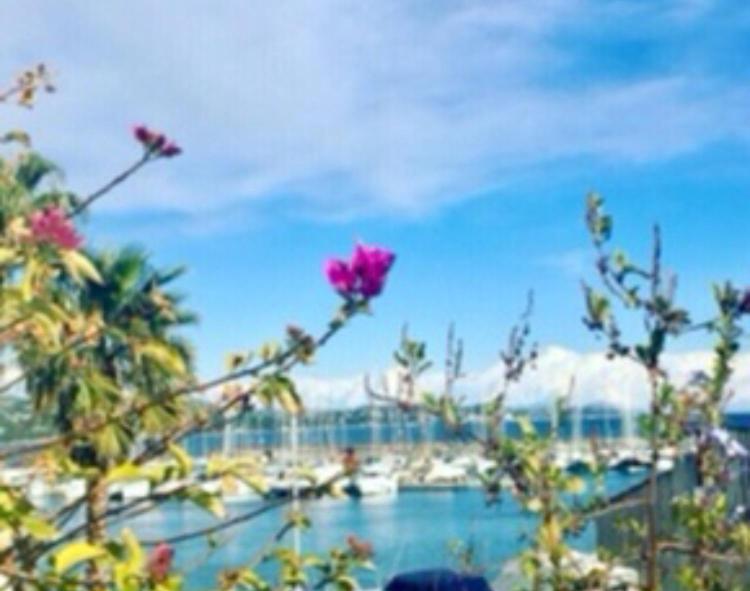 Petit Cocon Magnifique Vue Sur Marina Dans Le Golfe De Saint Tropez Apartment Cogolin Exterior photo