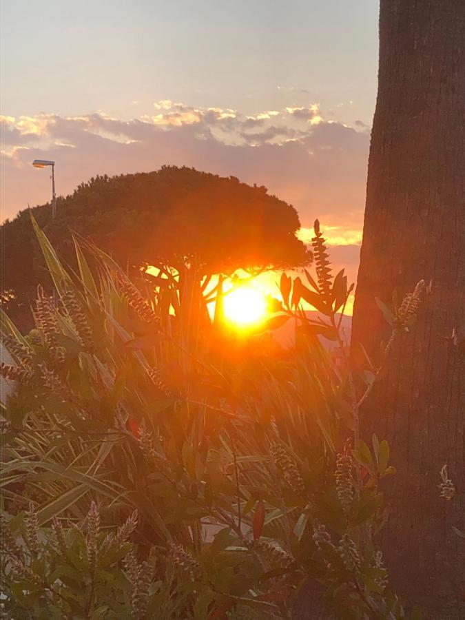 Petit Cocon Magnifique Vue Sur Marina Dans Le Golfe De Saint Tropez Apartment Cogolin Exterior photo