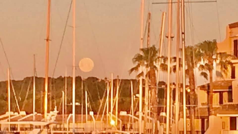 Petit Cocon Magnifique Vue Sur Marina Dans Le Golfe De Saint Tropez Apartment Cogolin Exterior photo